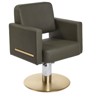 The Daisi Salon Styling Chair - Khaki & Gold by SEC